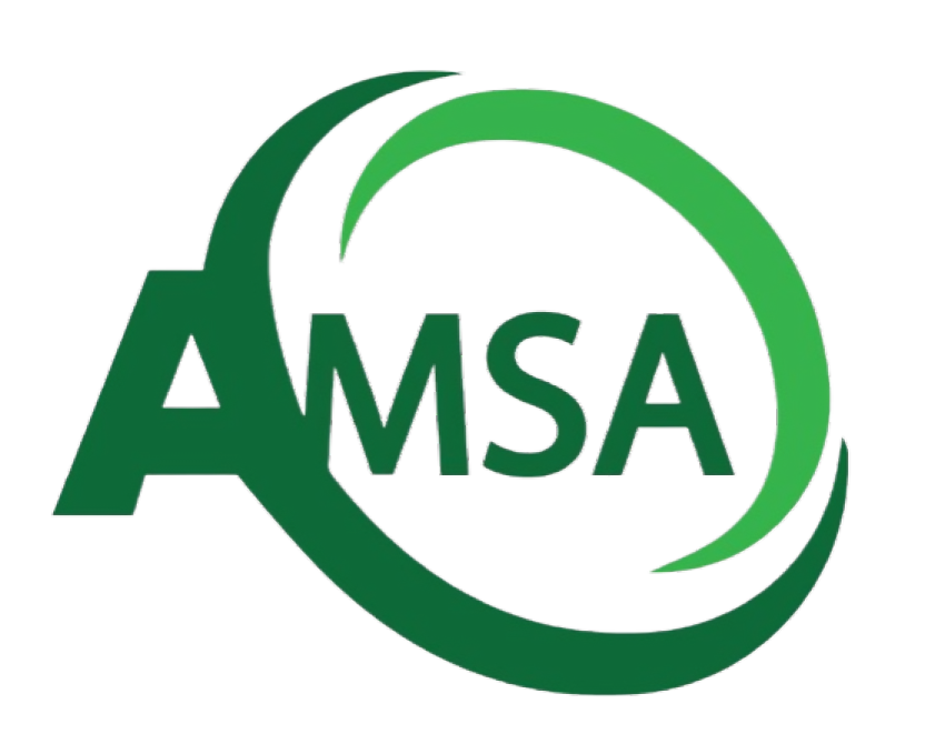 Amsa Power logo